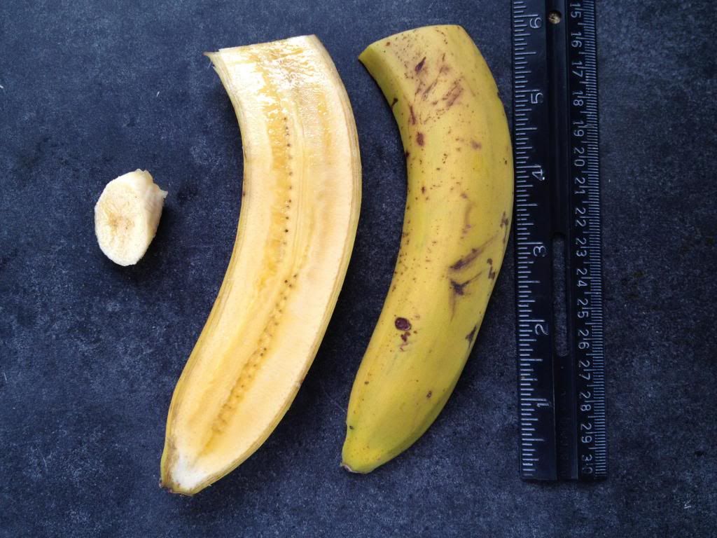 Gros Michel banana Alchetron, The Free Social Encyclopedia
